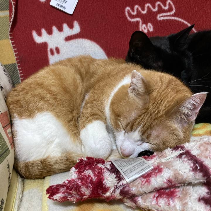 B80d62d0 9853 4426 8d67 5b6f2dd68697 1776603969712