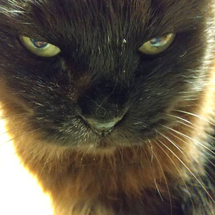 B80d81a6 3c4b 425c 9ceb 3670c1713283 1644583138702