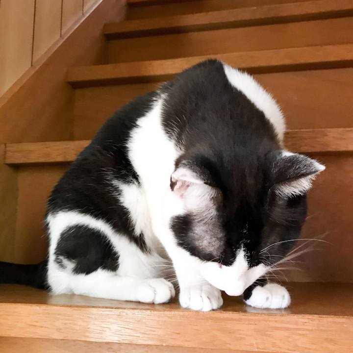 B80d8a14 312f 4e44 90da a841aa055899 1528854059747