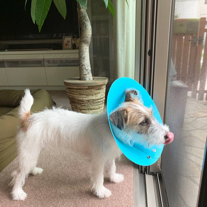 B80daa9c 4e13 4800 b5f0 a560eb6aeb74 1569456713799