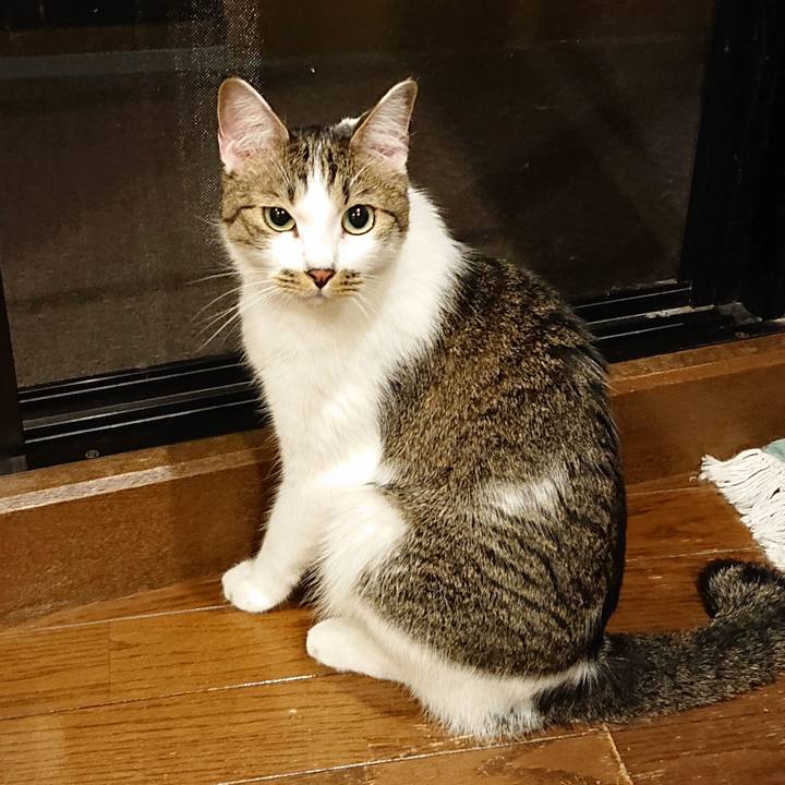 B80db35e bbe1 42de a60e 9daa75c03889 1661299032739