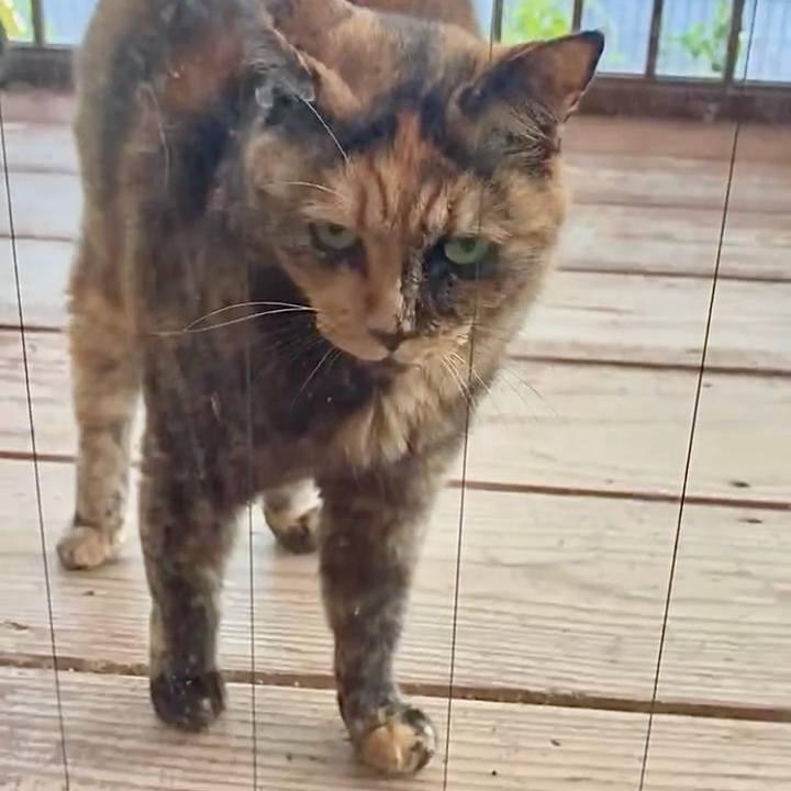 B80de7d8 269f 4601 87d1 26bb0141e2af 1757066254811