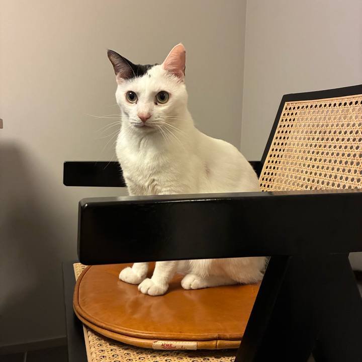 B80df71b cae2 4ee7 bd38 9ebc55f4a318 1769155486440