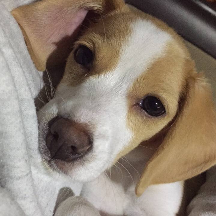 B80e1058 dc82 480a 8c9d 1d467bf69b35 1528449649032