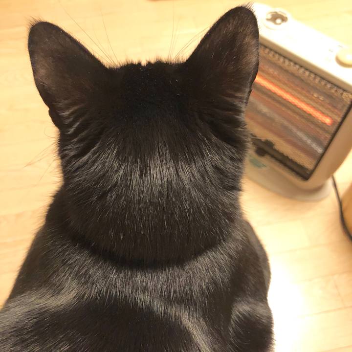 B80e429d c115 4e1a 800c 142c509d0612 1581689006609