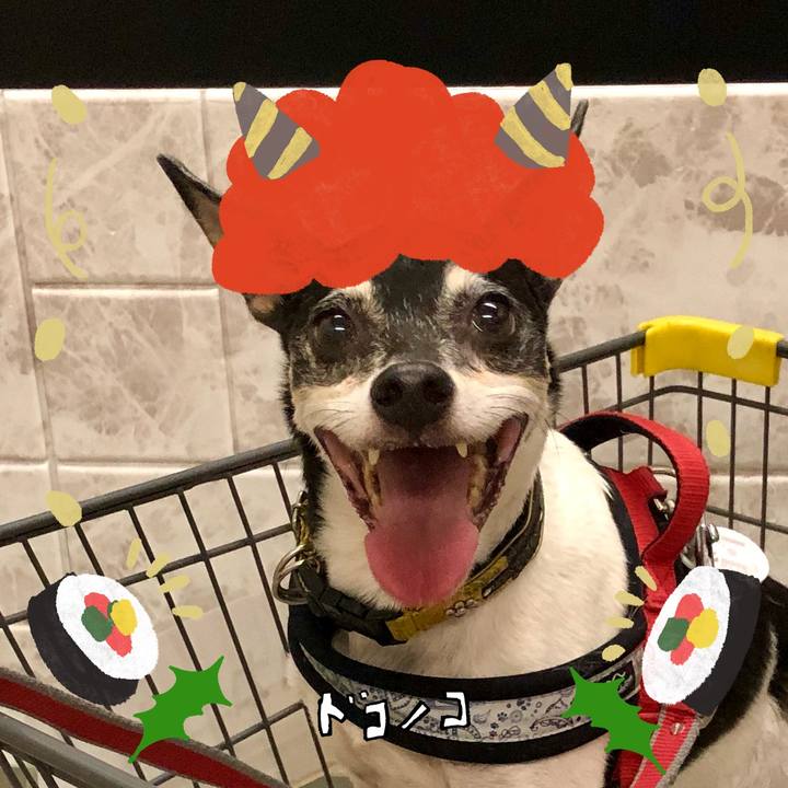 B80e70d5 4d21 4b83 bed9 83624b4a60a1 1706789497822