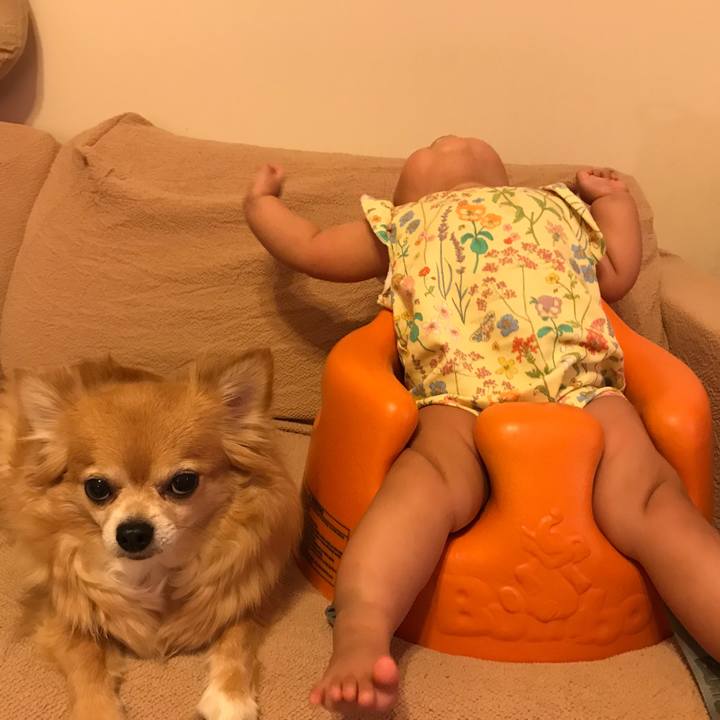 B80e91c2 7c09 4192 995c fb1957c61a68 1526396362796