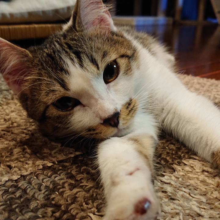 B80eb84f 18e3 4263 86a4 d9d87173ca70 1551527039048