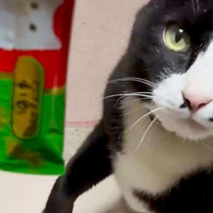 B80ec6b4 9aa5 4a34 8312 22086d09d301 1745803830960