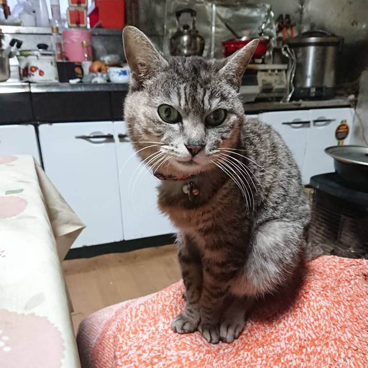 B80f0d09 d98f 4920 bcef 0575c2694dec 1588362326223