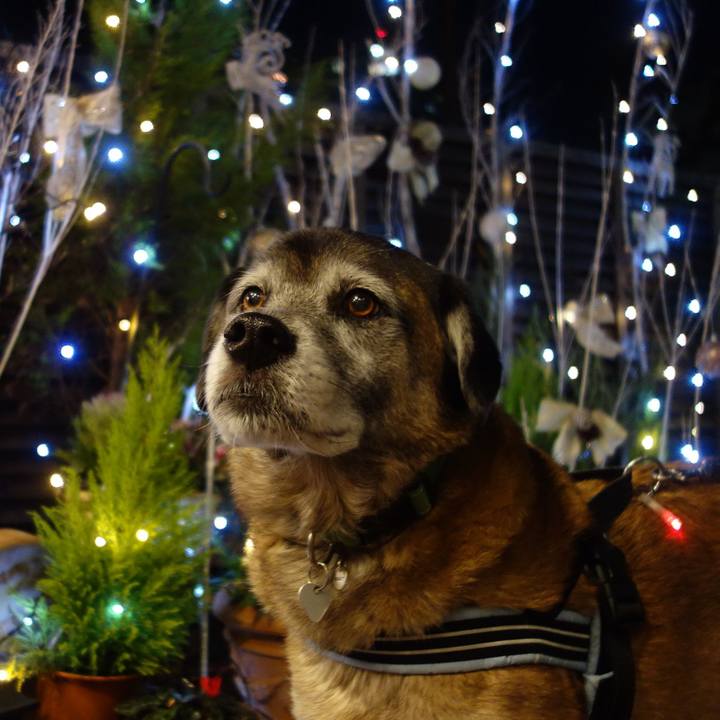 B80f4c42 1e1c 43a0 a4bf ec609b76639f 1734655301372