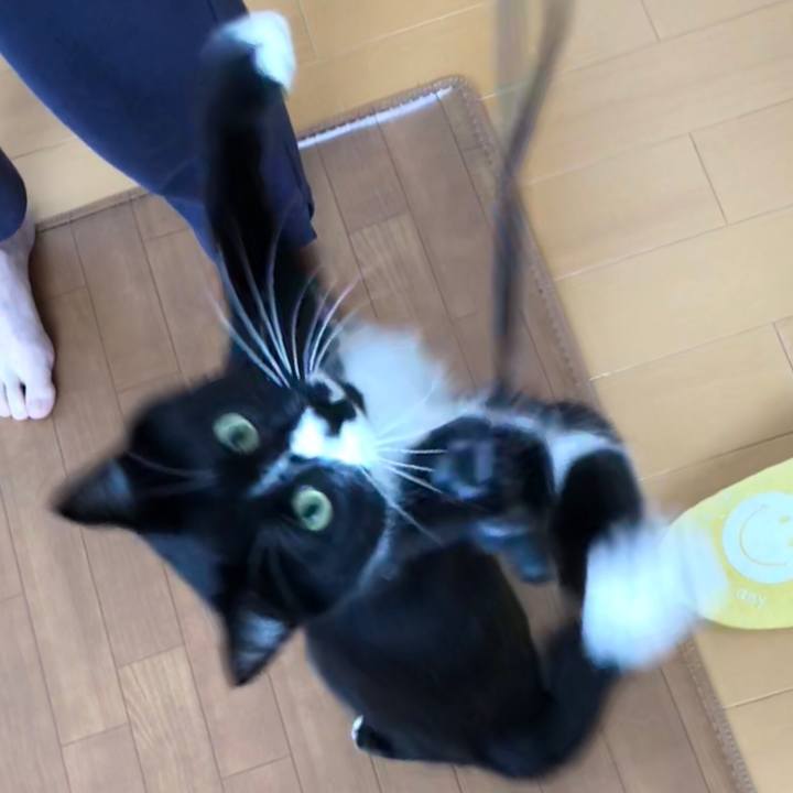 B80fa18b 5d55 4543 ac39 f31dc2c5e4ab 1527479117420