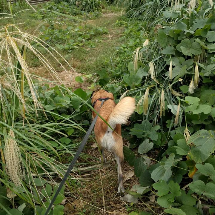 B80fba0a 4f06 4997 ac54 2f272aa44fad 1538611521737