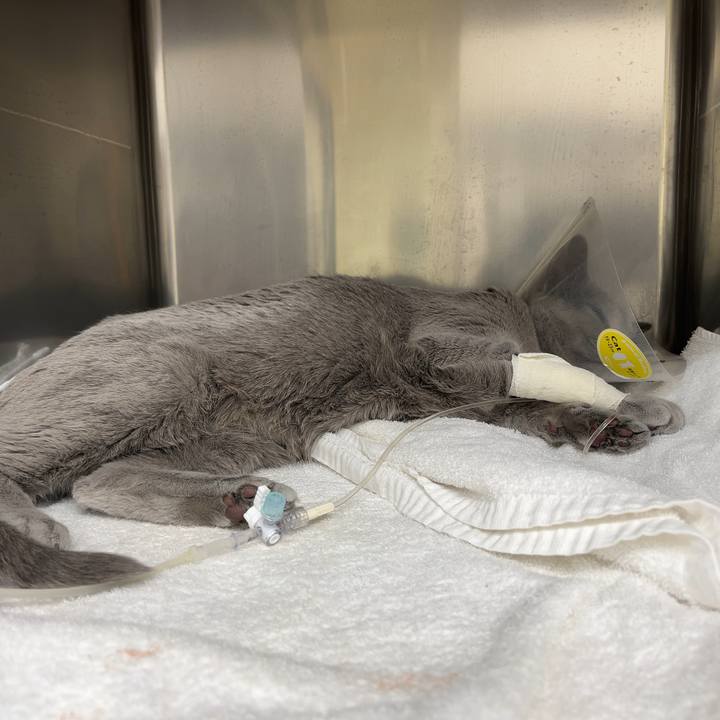 B80fbb79 de61 4f21 9255 009b2a955b07 1641904619880