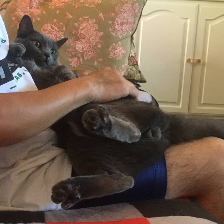 B80fbfa4 8fbf 43ee 8020 99c9c38a4353 1662684002525