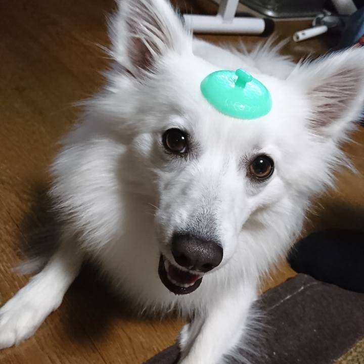 B81033c0 ac31 4ce2 b3e5 64f783f91627 1525607004934