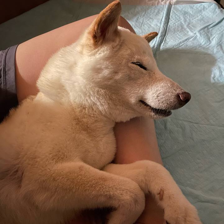 B8104109 8317 4580 ba69 2fa855c63592 1656008197338