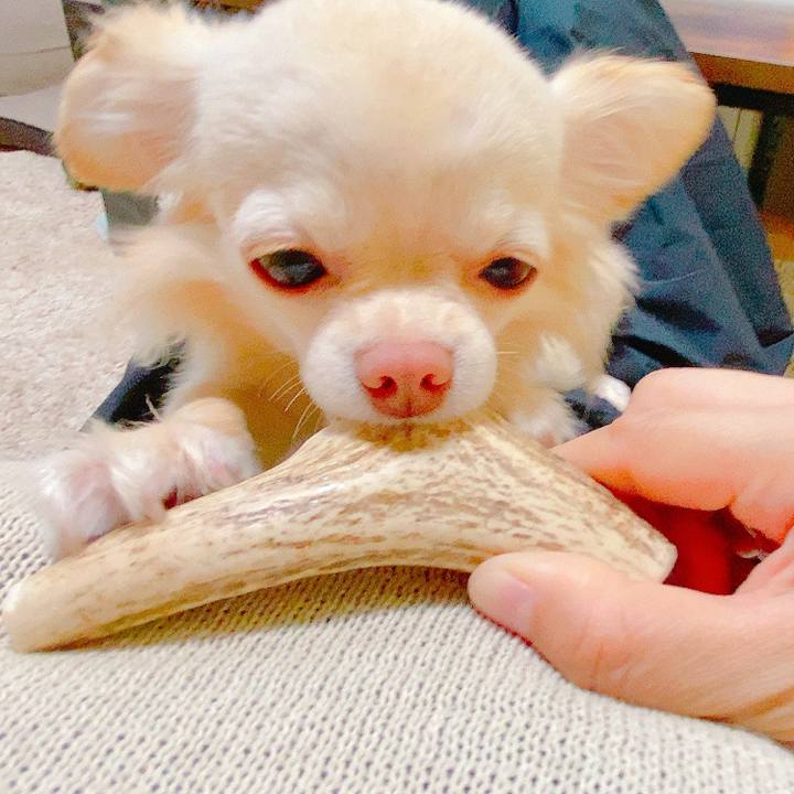 B8105036 f53d 427f ac00 425439025963 1621514801028