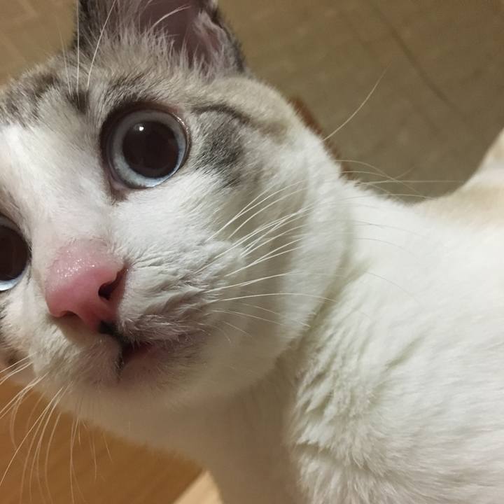 B8106179 059c 4056 bc03 aac593242617 1518856336118