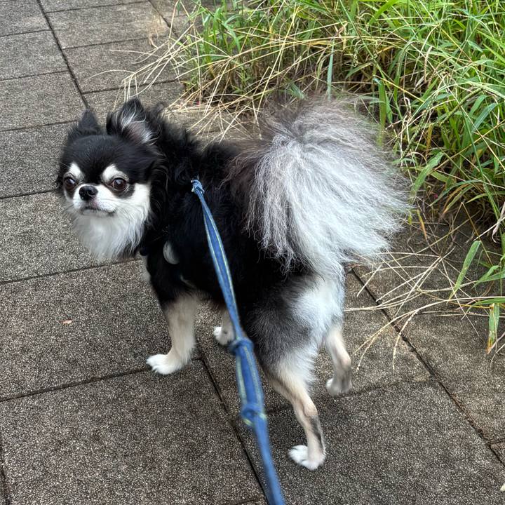 B810a76b 5d9f 41c7 bbec f94ee601ad9e 1757868252875