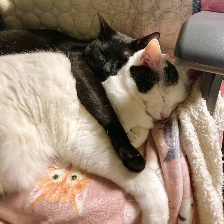 B810b1d6 0a9b 4afe ad7f cb456ec5a02c 1654233741244