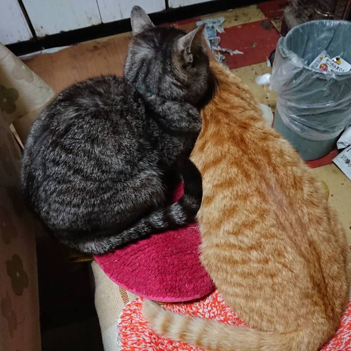 B810c5e8 f2fa 4395 85cb ab9cac4d6d98 1555753641504