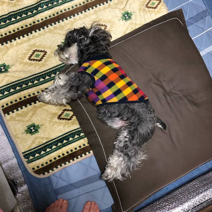 B810c616 db39 4974 b780 fb852b23357b 1707831739892