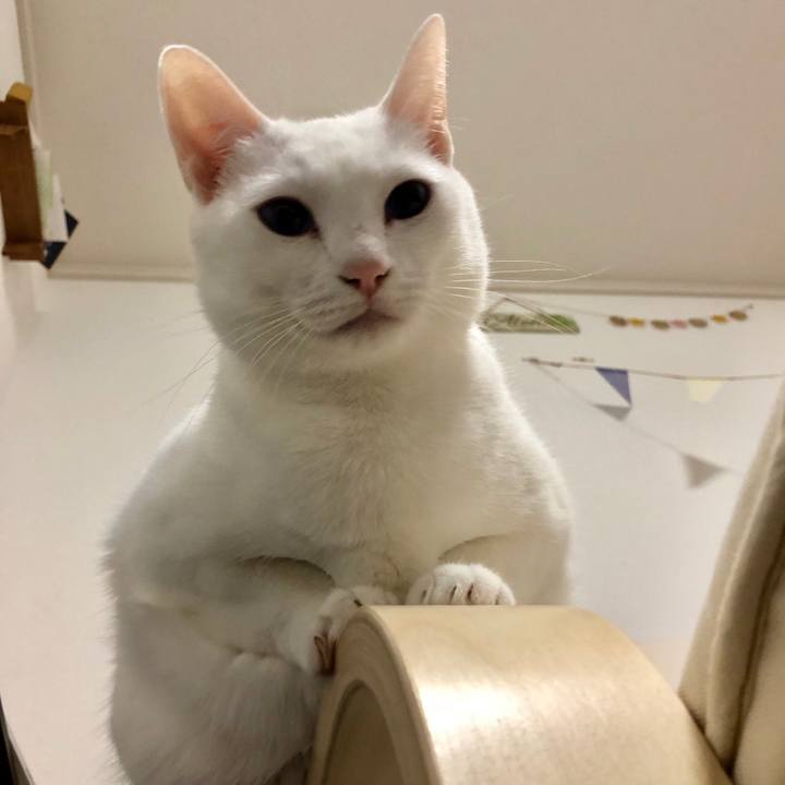 B810de06 70d9 4b19 a030 7b79668407ce 1515470706520