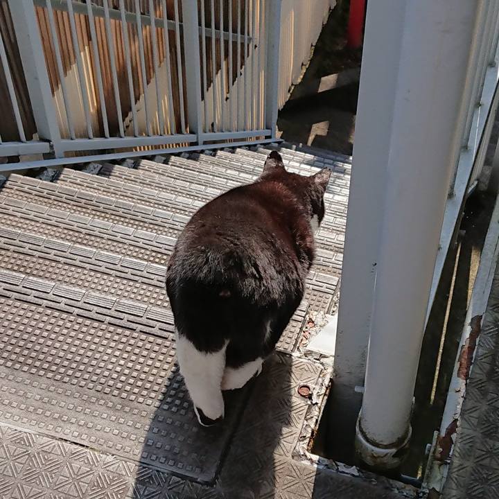 B810f9c4 0ba6 4234 a804 49cd8633dd3d 1627779306180