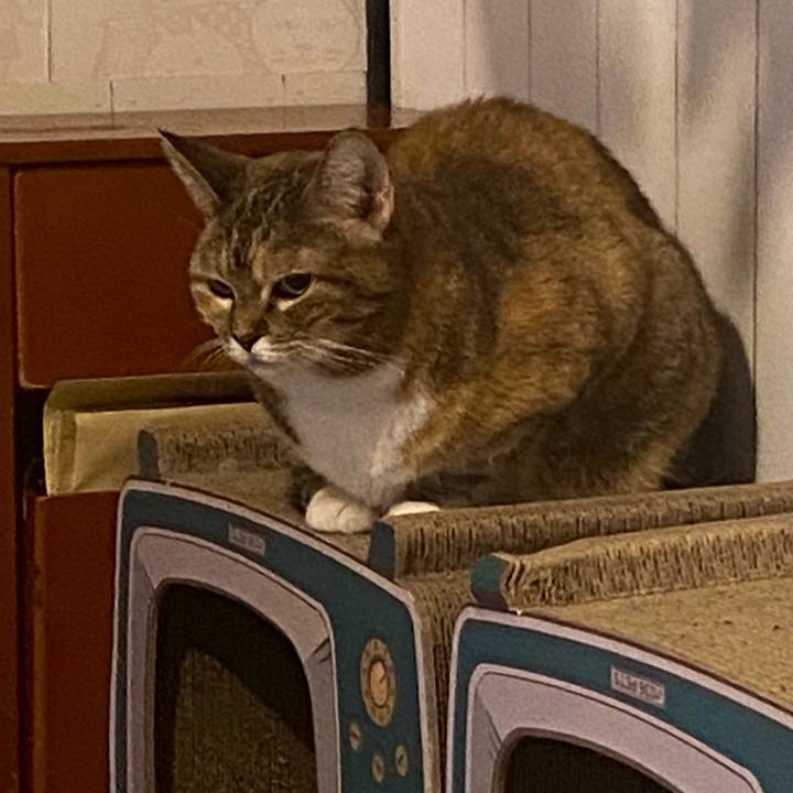 B811194b 4217 4e0b 8f28 c860be6806e0 1661868812046