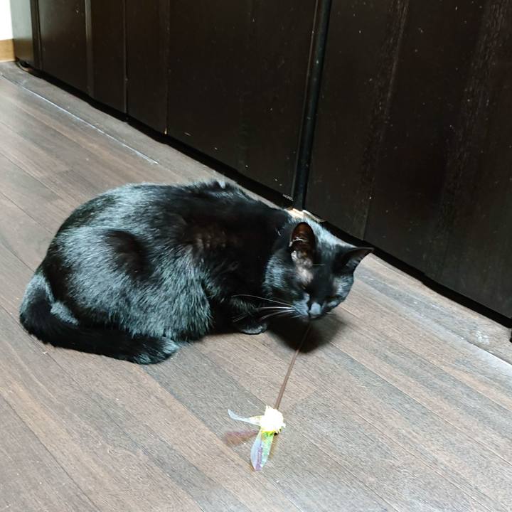 B8111a31 d244 4c9f 8a4e e3022eb614a9 1543849912517