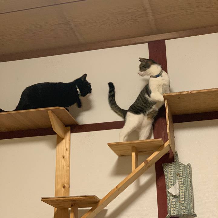 B81130c7 6f66 440d 9362 7ebdee619230 1581342891868