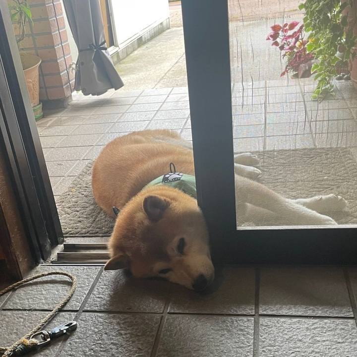 B811535f 01ab 4a77 b0e6 a353a08674ea 1657602664364