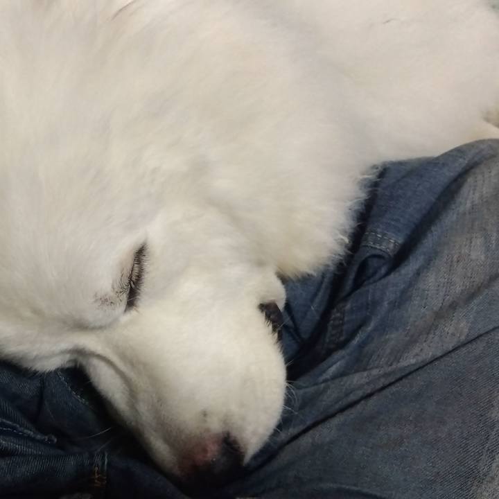 B81195a5 ed47 4569 8c2e 1a0ce2a1ac96 1692316180729