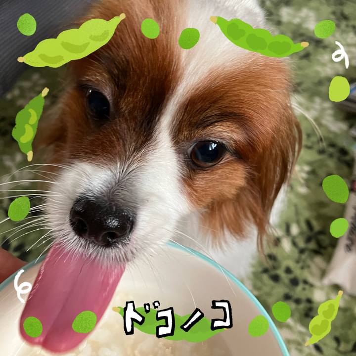 B811abe5 d6a3 4c86 b3e3 83d522133cee 1720937373158