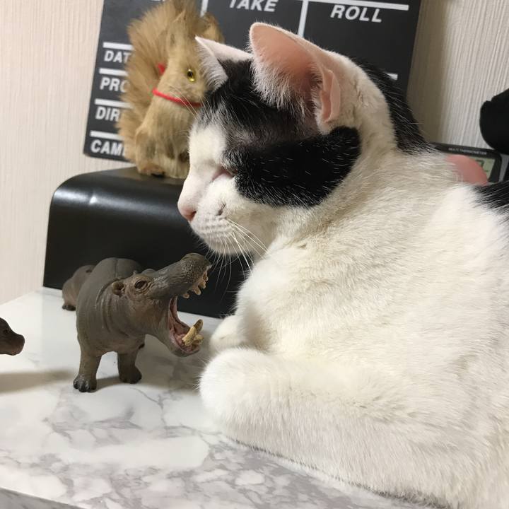 B811b73f a3ed 4459 9e1b 7fac1f50fee7 1519210760701