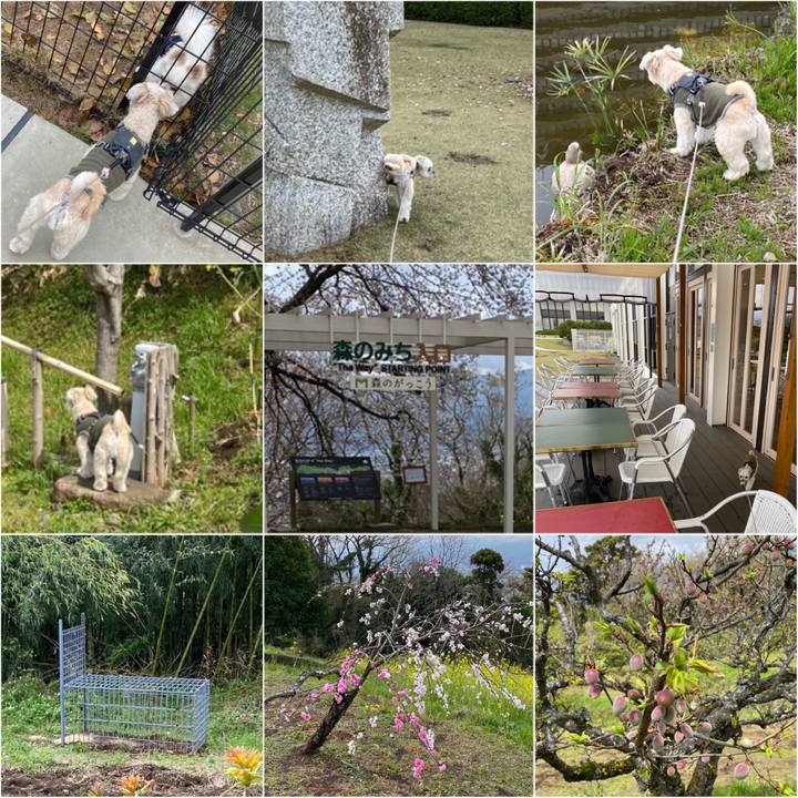 B811d714 1382 4441 a731 34e2b9b8e27b 1585389119812