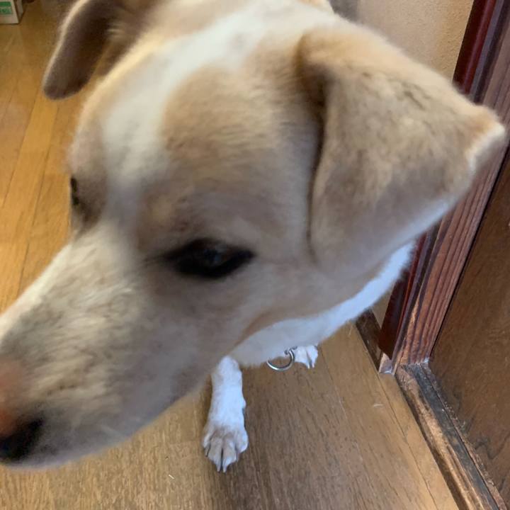 B811e8ad e43e 46f2 a030 2169204855bb 1562632002583