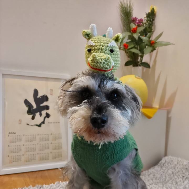 B8121214 8d9a 4b2f 88ee e8326f4e3ecc 1704069827910