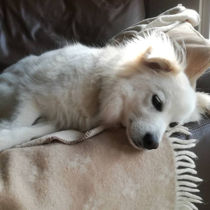 B812188a 5349 47ef 9a57 ac5659967c70 1522021923848