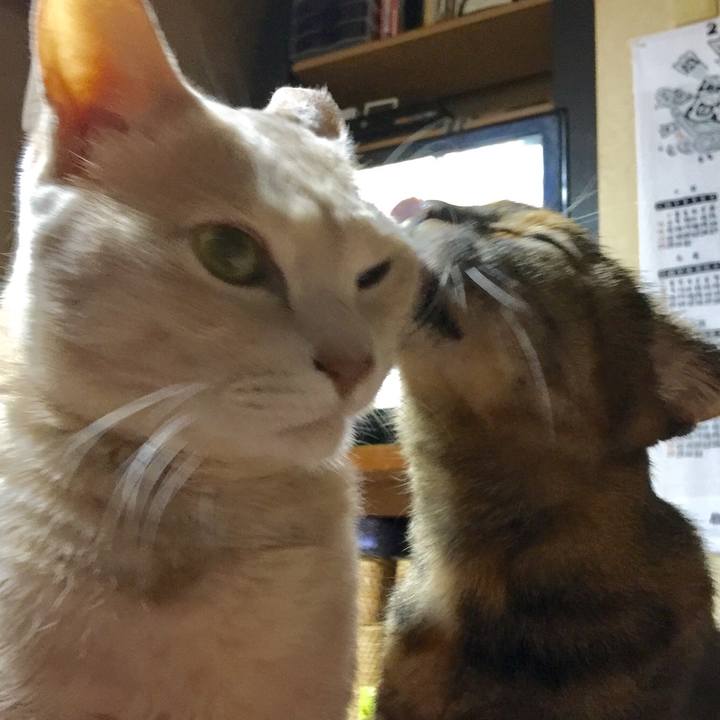 B8129706 d00a 4416 b7d2 10a2f97a200f 1539084328169