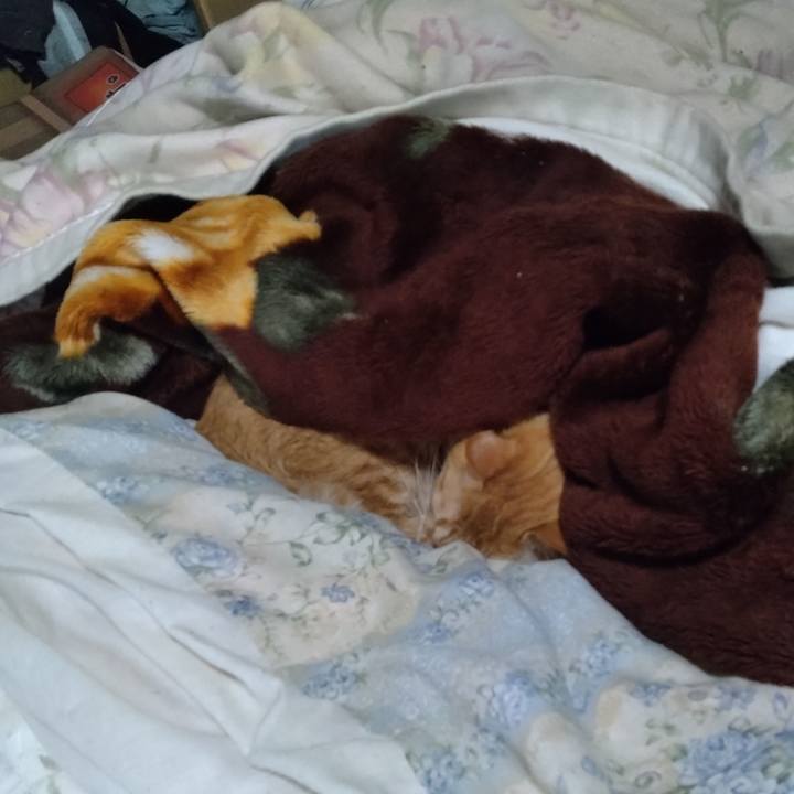 B812a05f f560 48c8 860c 950ed828f5c6 1712612339153