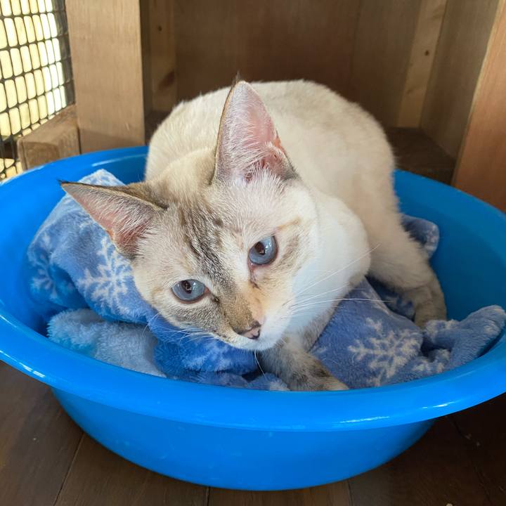 B812a130 1242 4e8c 8b97 cd1ab56fc3ef 1657149968297