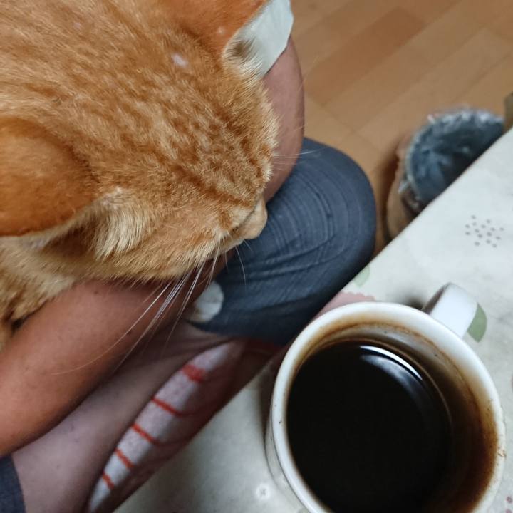 B813a6ca 313a 4c34 a17b 55429015ee51 1597092628255