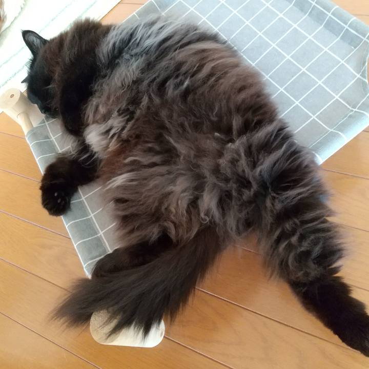 B813bc09 2671 4617 9928 ac96a173d475 1682378659403