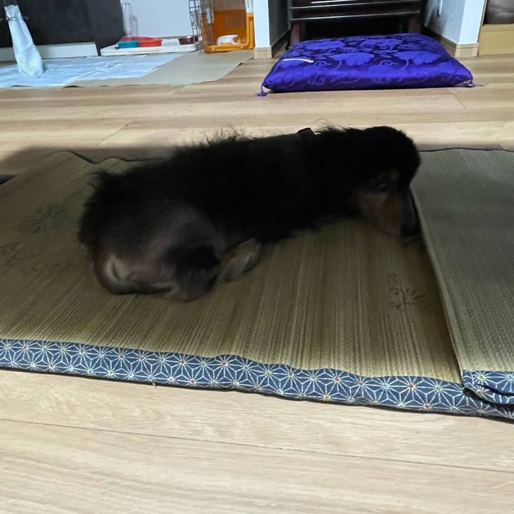 B813bd18 a8d1 4b9d a41b e6f1ba751d71 1718979011572