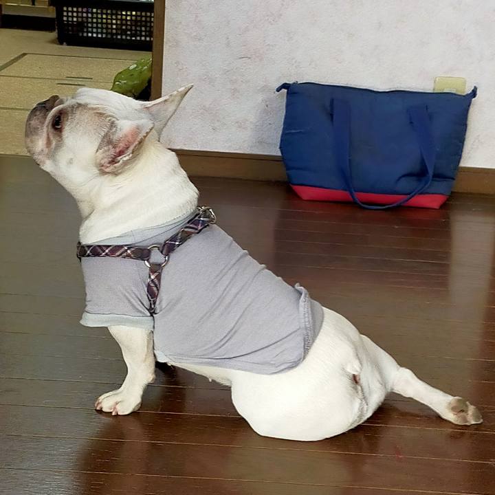 B813c004 bf63 41d1 a160 1358aa6336c5 1649281843443