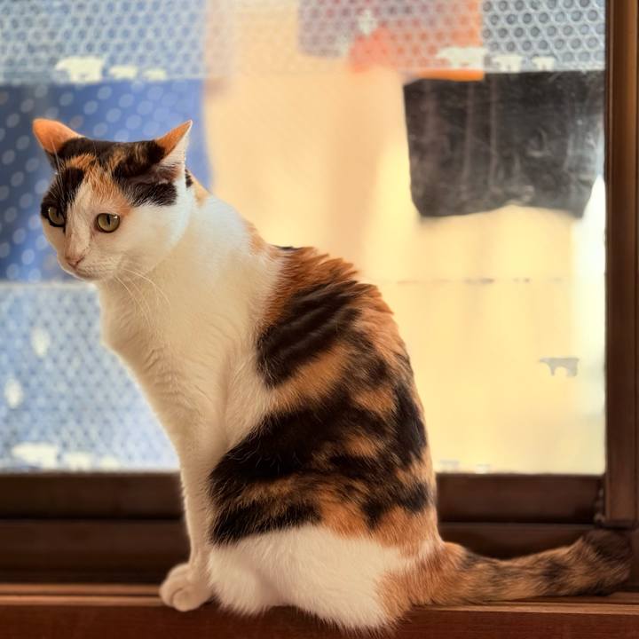 B813cbb0 e107 415f b9cf 7322fb298a2e 1730338040125