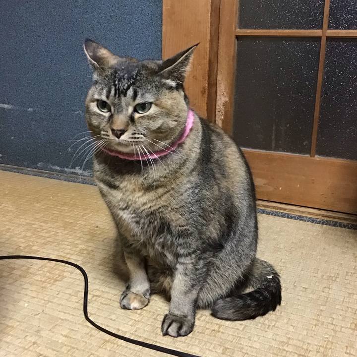 B813d3d0 3962 468e a4f7 fbced4db874c 1743496592214