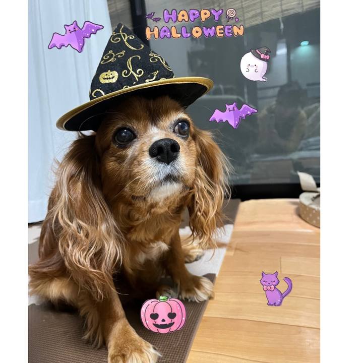 B813e240 5ce7 4e46 a1d5 b50c2571e17c 1667128287951